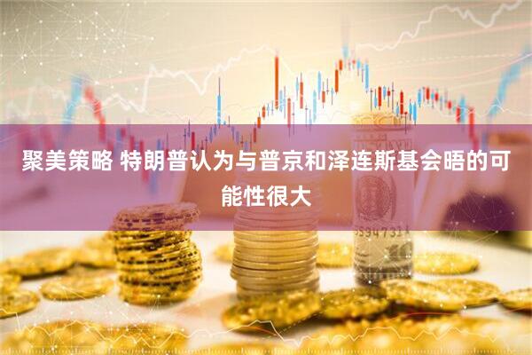 聚美策略 特朗普认为与普京和泽连斯基会晤的可能性很大