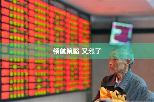 领航策略 又涨了