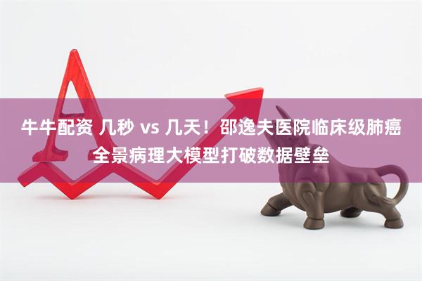 牛牛配资 几秒 vs 几天！邵逸夫医院临床级肺癌全景病理大模型打破数据壁垒