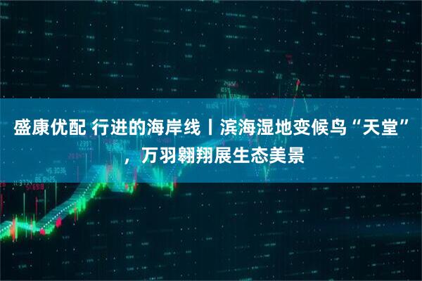 盛康优配 行进的海岸线丨滨海湿地变候鸟“天堂” ，万羽翱翔展生态美景